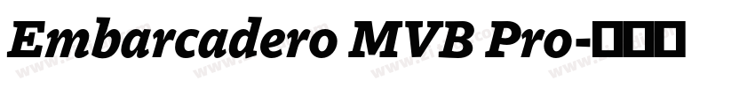 Embarcadero MVB Pro字体转换